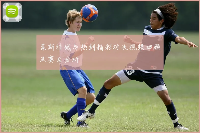 莱斯特城与热刺精彩对决视频回顾及赛后分析