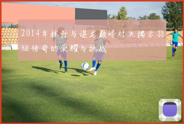 2014年林丹与谌龙巅峰对决揭示羽坛传奇的荣耀与挑战
