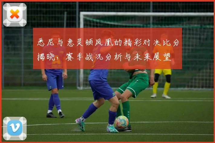 悉尼与惠灵顿凤凰的精彩对决比分揭晓，赛季战况分析与未来展望