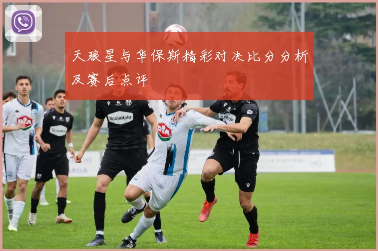 天狼星与华保斯精彩对决比分分析及赛后点评
