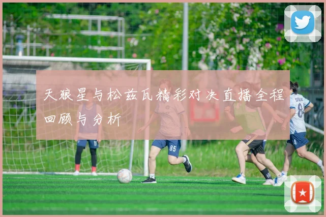 天狼星与松兹瓦精彩对决直播全程回顾与分析